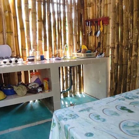 Villas Del Carmen Hostal Palenque Esterno foto